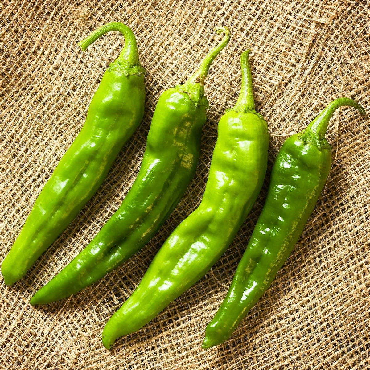 Hatch Green Chile Season 2024 Karon Maryann hatch-green-chile-season-2024-karon-maryann